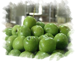 Le olive Biceno